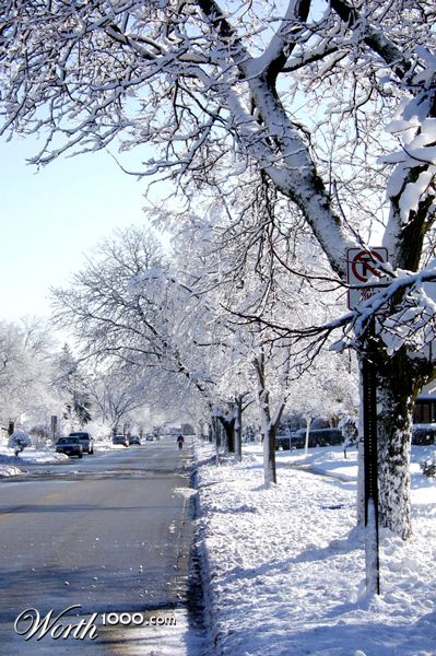 Photography by Isengard340