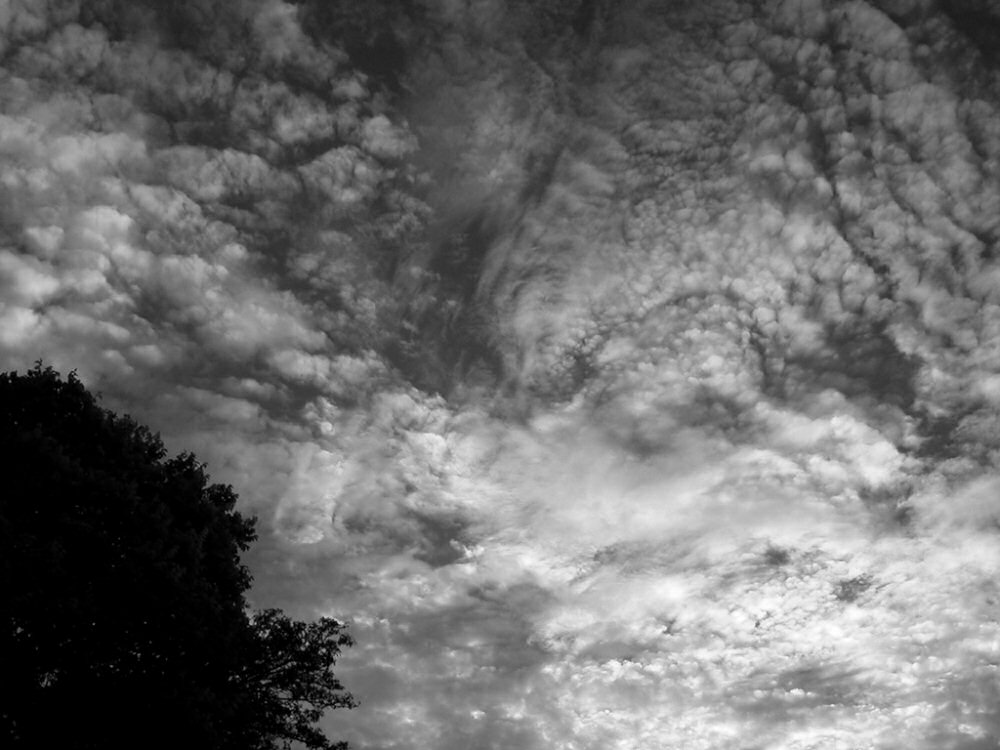 Photography by chickensinhere for DesignCrowd (Community Contests) | Design #9044196