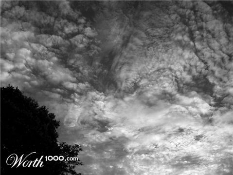 Photography by chickensinhere