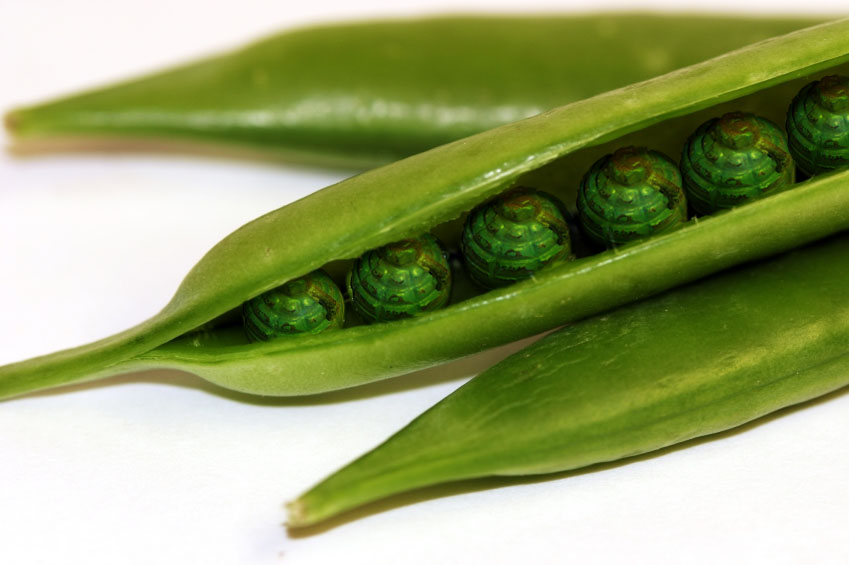 Photoshop Design by kelvin27 for DesignCrowd (Community Contests) | Design #9043874