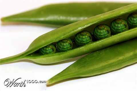 Photoshop Design by kelvin27