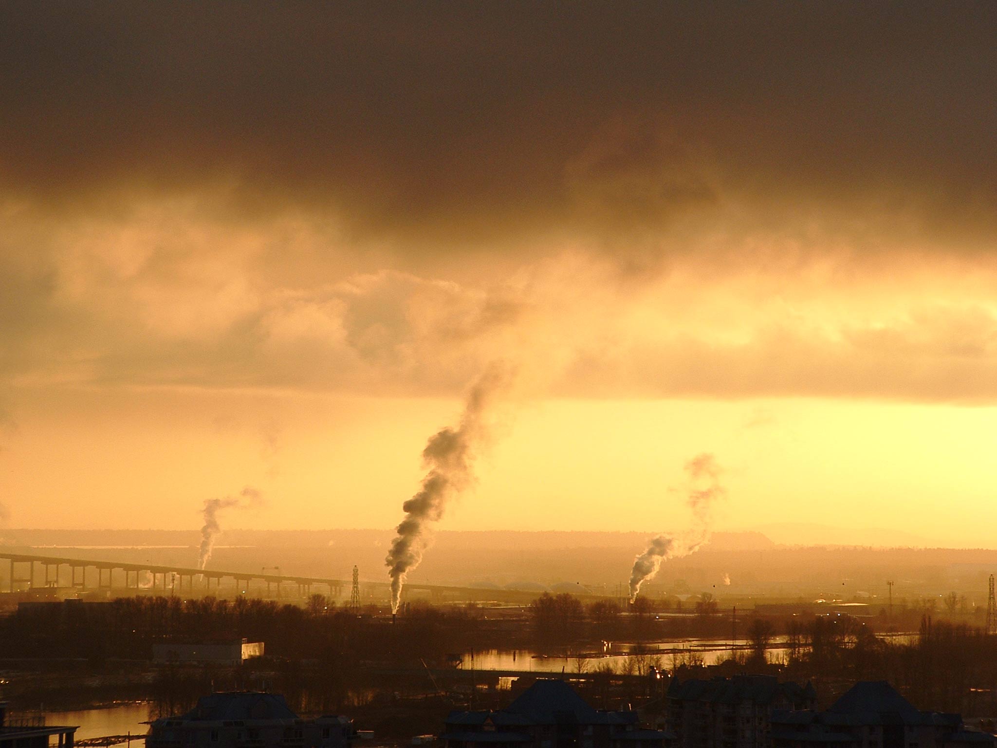 Fotografía por shaunjohnwood para DesignCrowd (Community Contests) | Diseño #9044246