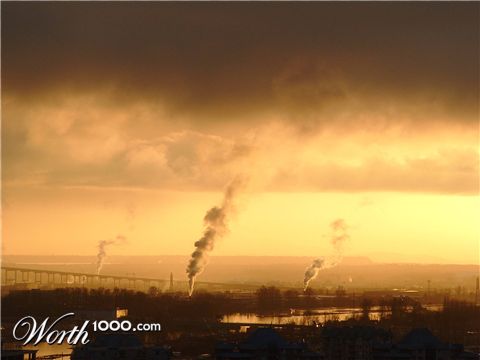 Photography by shaunjohnwood