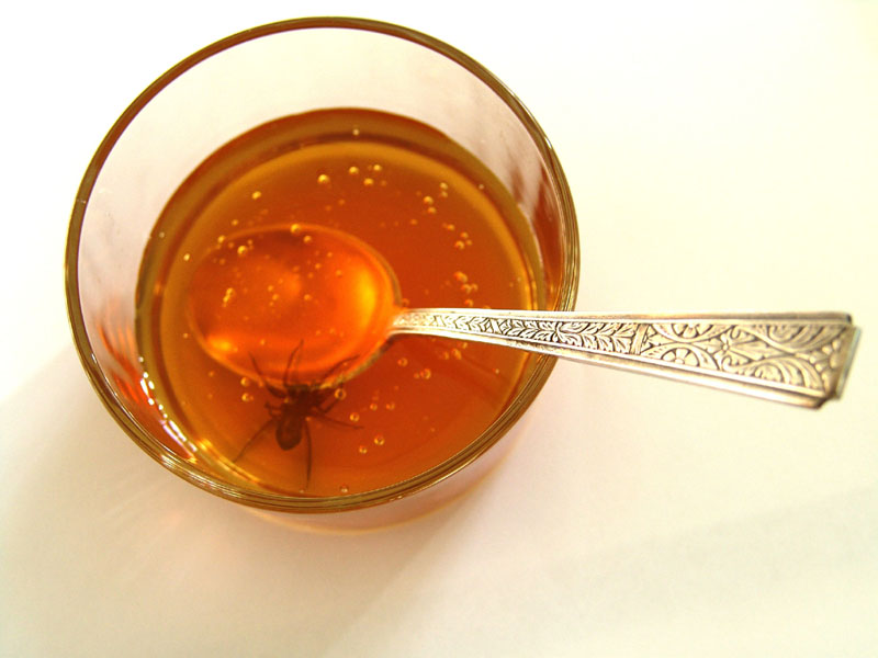 Photoshop Design by JeanLuc99 for DesignCrowd (Community Contests) | Design #9044025