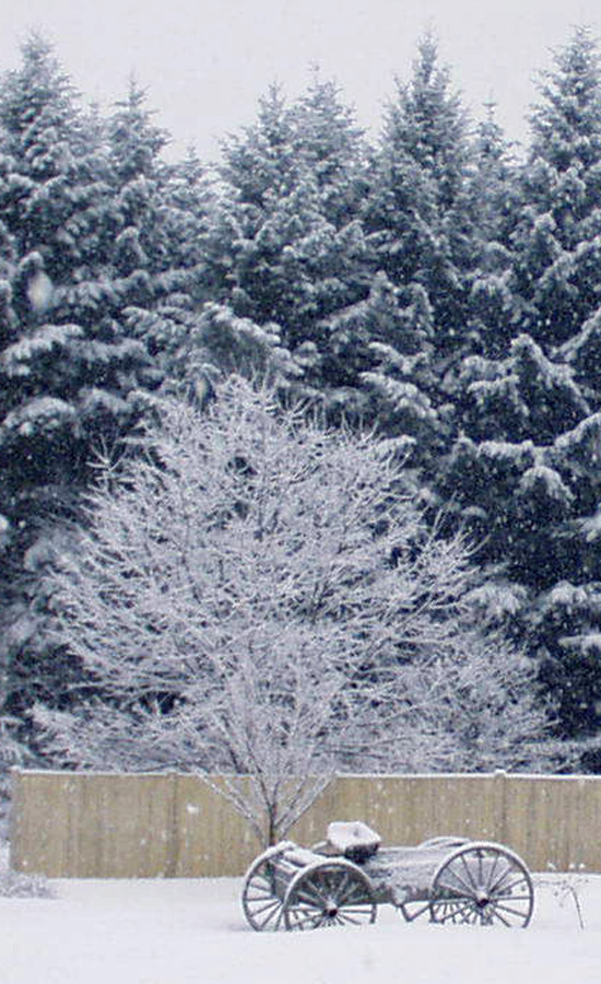 Photography by kathnh for DesignCrowd (Community Contests) | Design #9044383