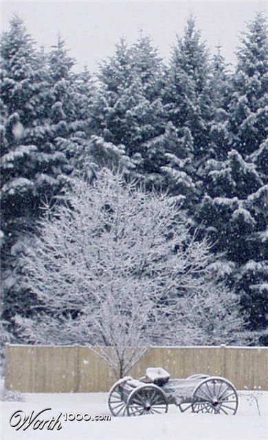 Photography by kathnh