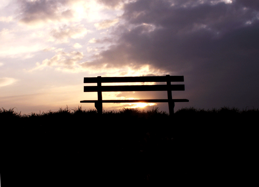 Fotografía por Halkatla para DesignCrowd (Community Contests) | Diseño #9044411