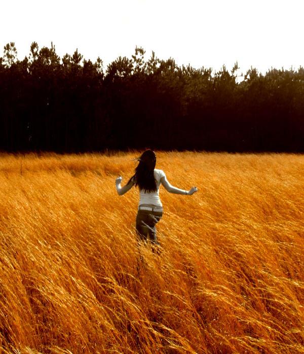 Photography by vballpanthergal for DesignCrowd (Community Contests) | Design #9052584