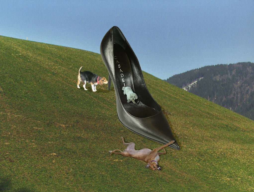 Photoshop Design by Irrwitzer for DesignCrowd (Community Contests) | Design #9051552