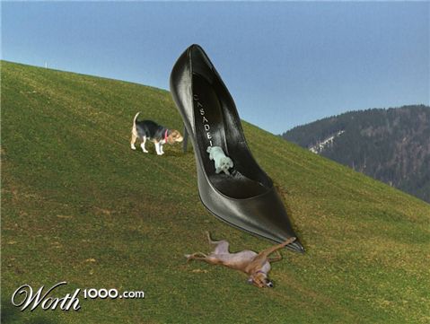 Photoshop Design by Irrwitzer