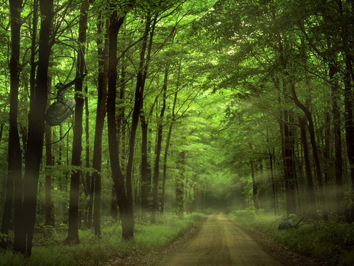 Photoshop Design by mindrazor for DesignCrowd (Community Contests) | Design #9051565