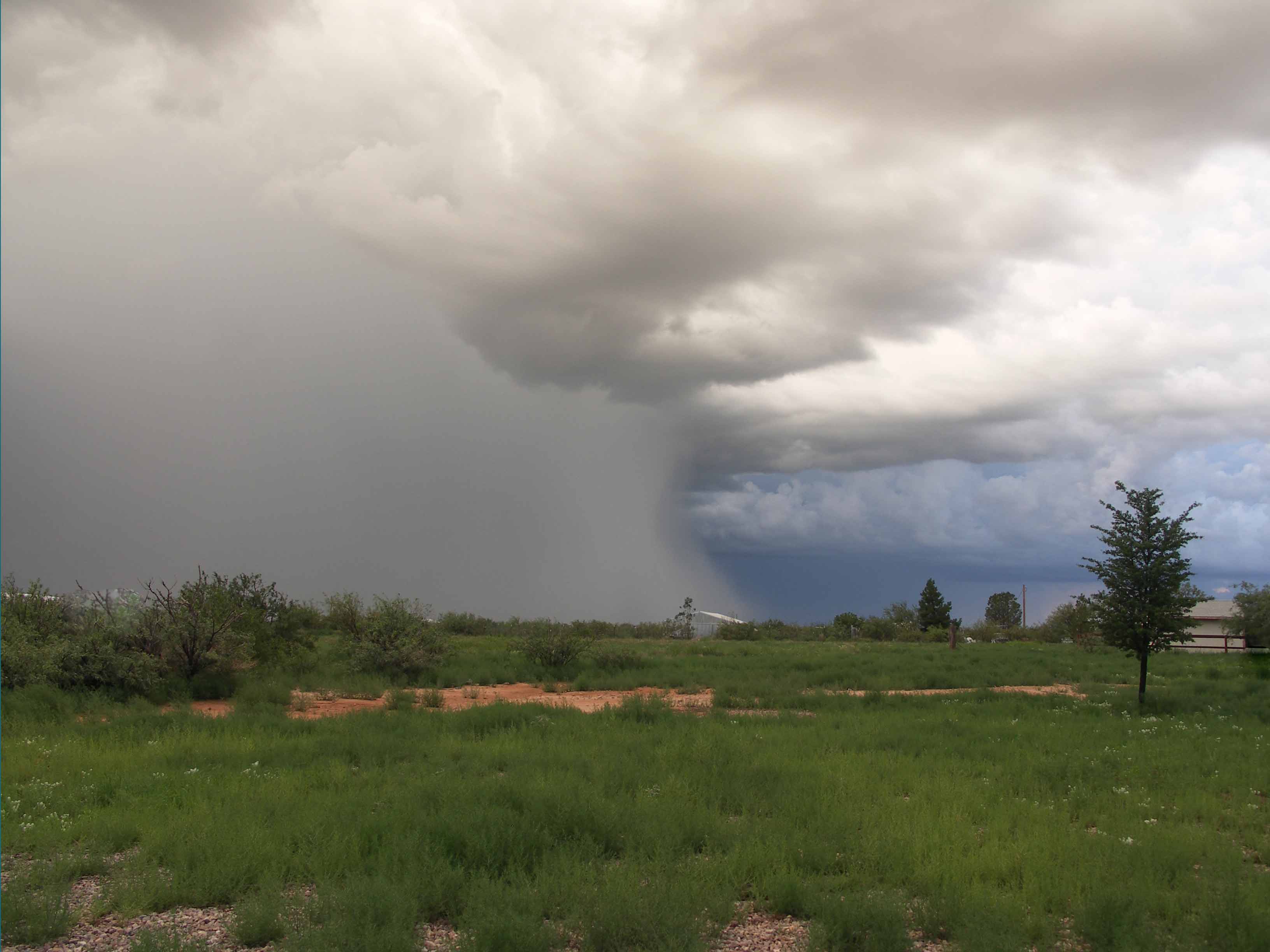 Photography by SpeakingOfAmethyst for DesignCrowd (Community Contests) | Design #9044332