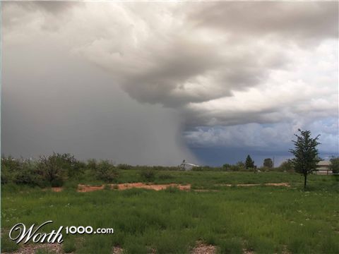 Photography by SpeakingOfAmethyst