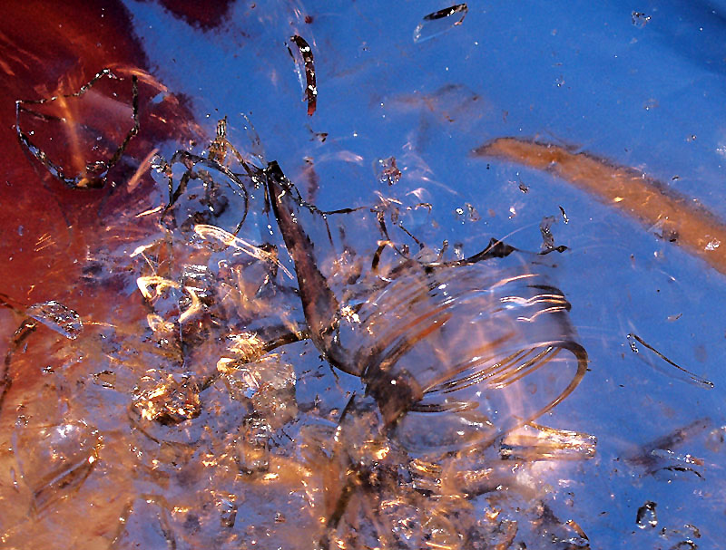 Fotografie von KChris für DesignCrowd (Community Contests) | Design #9050317