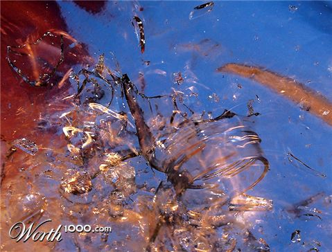 Photography by KChris