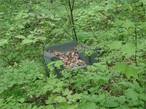 Photography by neoplasticsniper for DesignCrowd (Community Contests) | Design #9053110