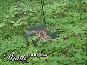 Photography by neoplasticsniper