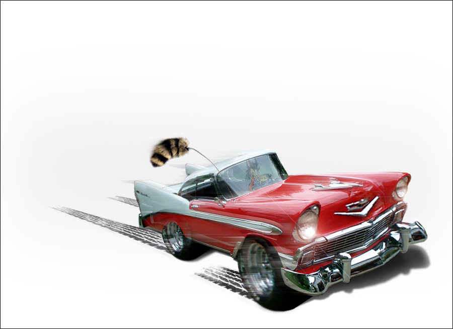 Photoshop Design by KidHoliday for DesignCrowd (Community Contests) | Design #9051124