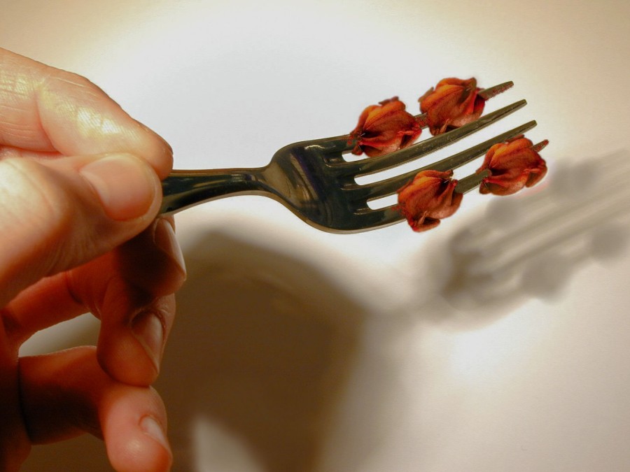 Design Photoshop par goraia pour DesignCrowd (Community Contests) | Design #9051746