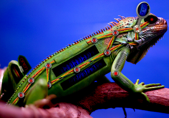 Photoshop-Design von wagnerm25 für DesignCrowd (Community Contests) | Design #9055408