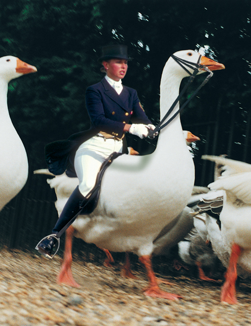 Photoshop Design by breimer for DesignCrowd (Community Contests) | Design #9051659