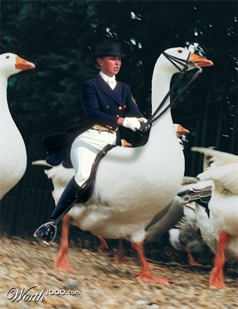 Photoshop Design by breimer