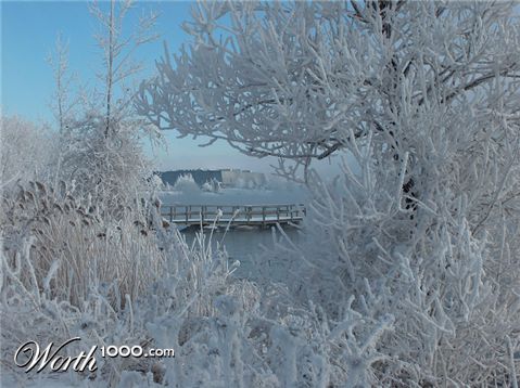 Photography by jadeangel99
