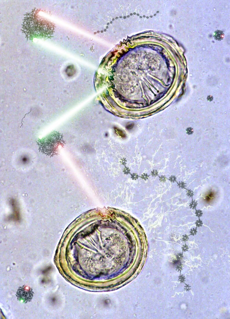 Diseño de Photoshop por GrogAlegutz para DesignCrowd (Community Contests) | Diseño #9055442