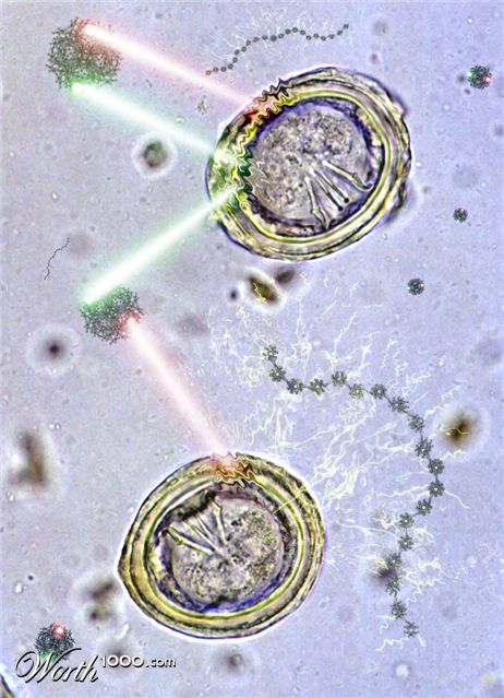 Photoshop Design by GrogAlegutz