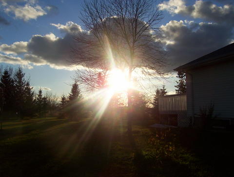 Fotografía por Rafreaky para DesignCrowd (Community Contests) | Diseño #9044304