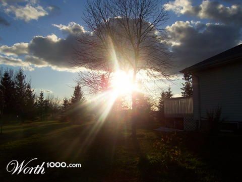 Photography by Rafreaky