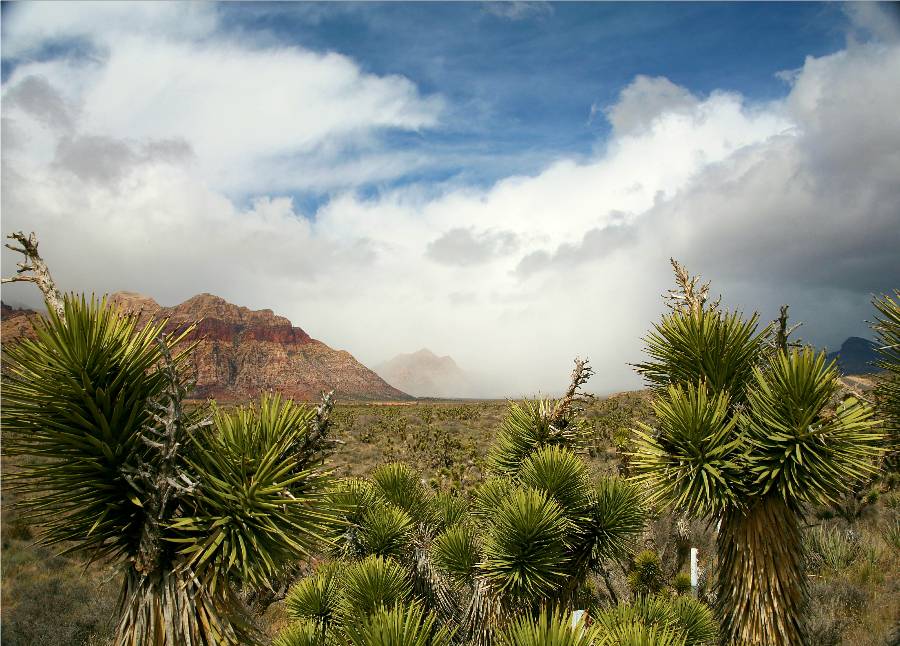 Photography by dasteveco for DesignCrowd (Community Contests) | Design #9044338