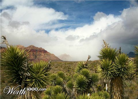 Photography by dasteveco