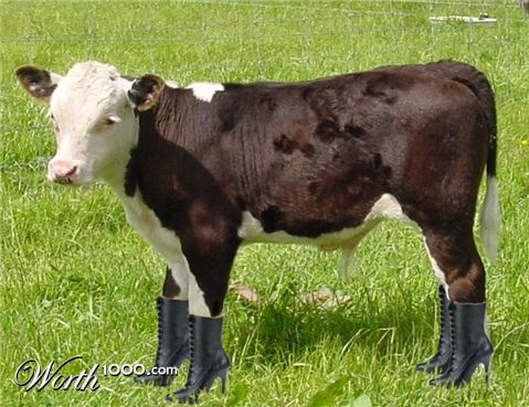 Photoshop Design by velde046