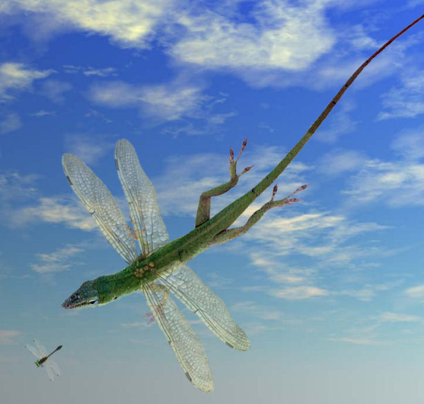 Photoshop Design by Irrwitzer for DesignCrowd (Community Contests) | Design #9055474