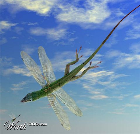 Photoshop Design by Irrwitzer