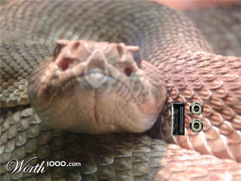 Photoshop Design by gyteddious