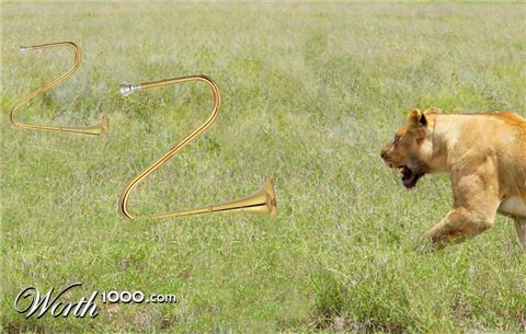 Photoshop Design by insetu