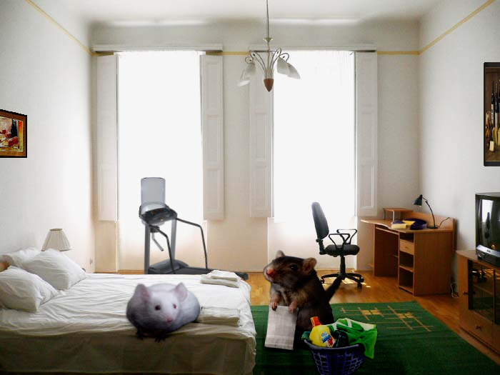 Photoshop Design by witchiepoo for DesignCrowd (Community Contests) | Design #9051526