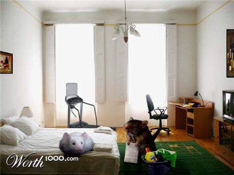 Photoshop Design by witchiepoo