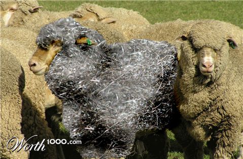 Photoshop Design by Fishmeister