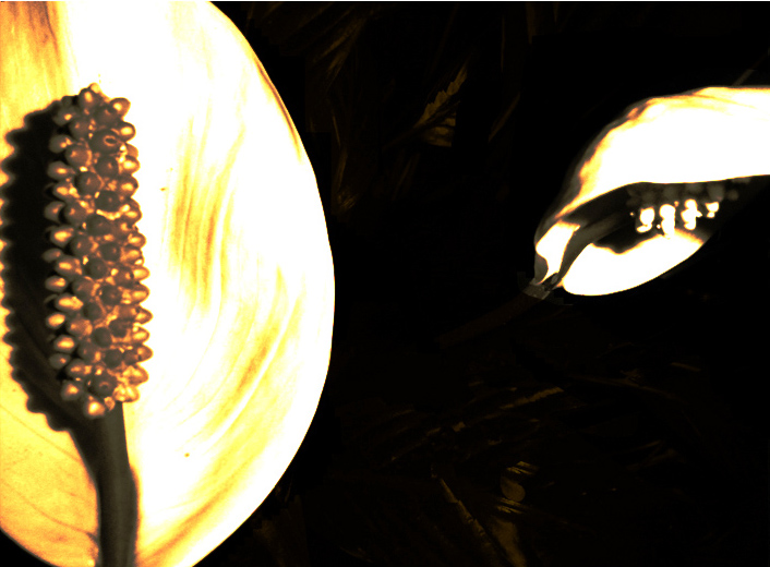 Photography by Atomic52 for DesignCrowd (Community Contests) | Design #9061532