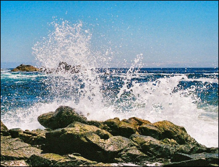 Photography by Juicer for DesignCrowd (Community Contests) | Design #9050357