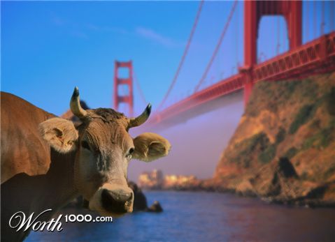 Photoshop Design by Cheshirecat1582