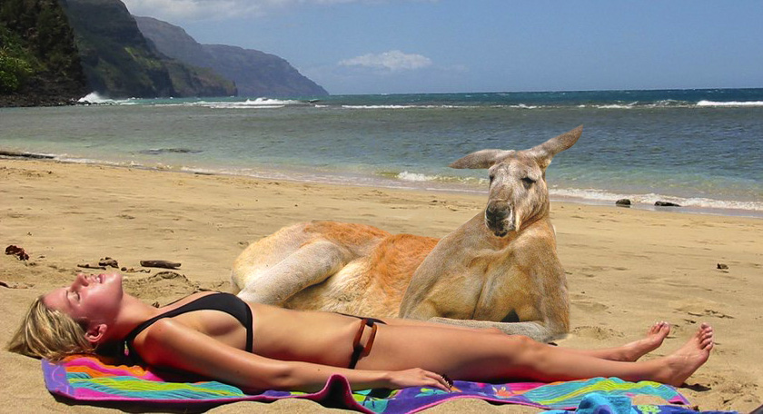 Photoshop Design by bertdesign for DesignCrowd (Community Contests) | Design #9058726