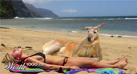 Photoshop Design by bertdesign