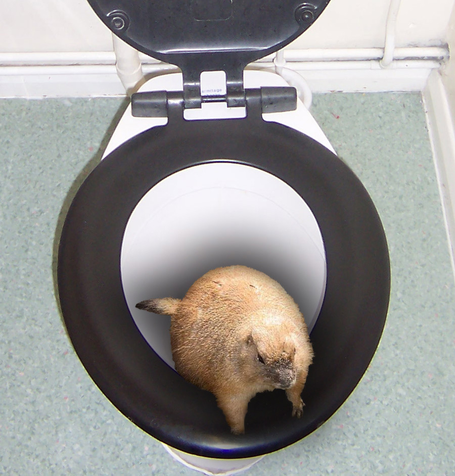 Diseño de Photoshop por Isdelth para DesignCrowd (Community Contests) | Diseño #9058804