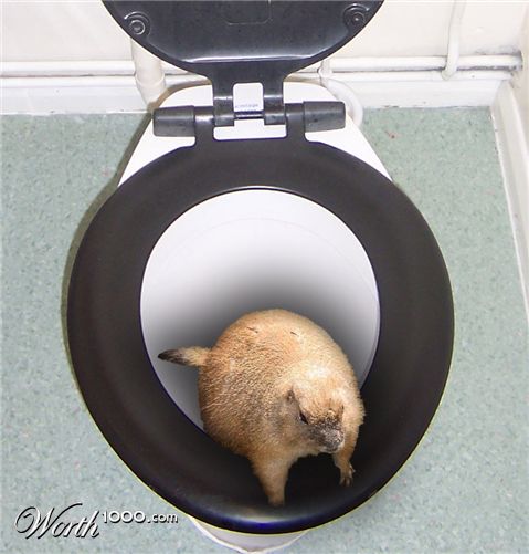 Photoshop Design by Isdelth