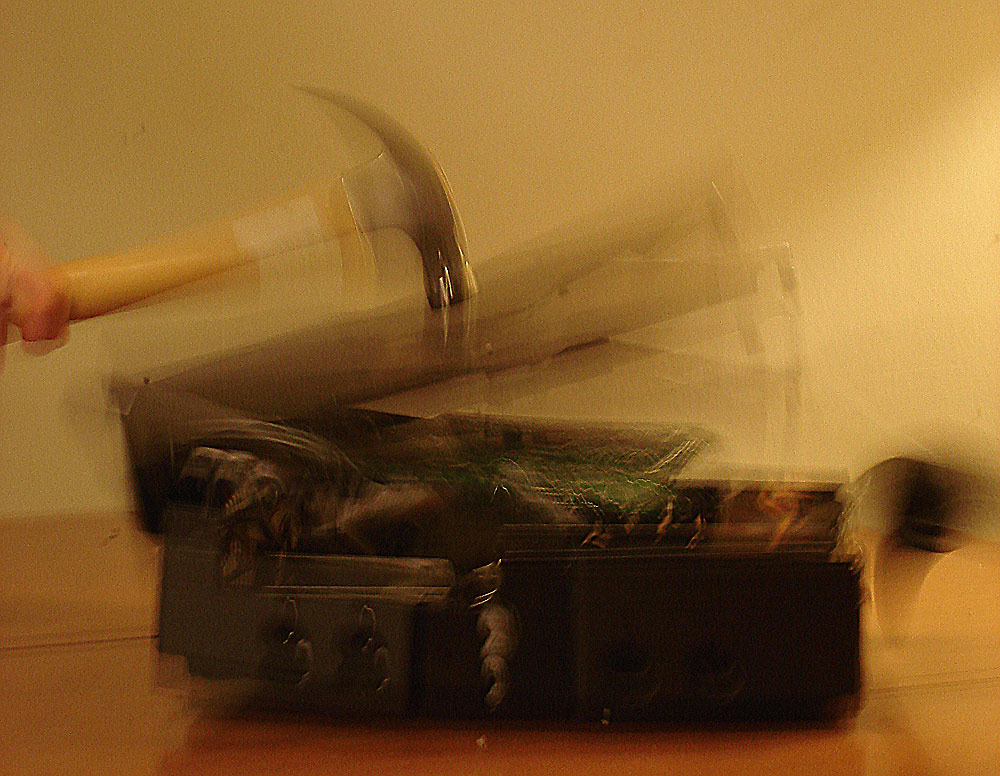 Photographie par Donnie7 pour DesignCrowd (Community Contests) | Design #9050435