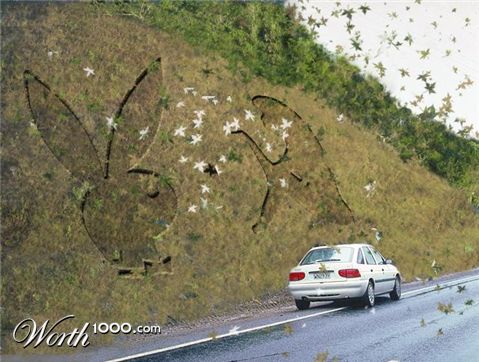 Photoshop Design by jhokards